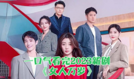 一口气看完的电视剧,剧情高潮迭起，引人入胜